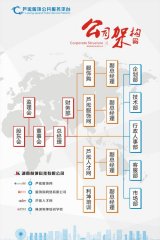 kaiyun官方网站:专利zl和cn的区别(cn是什么类型的专利)